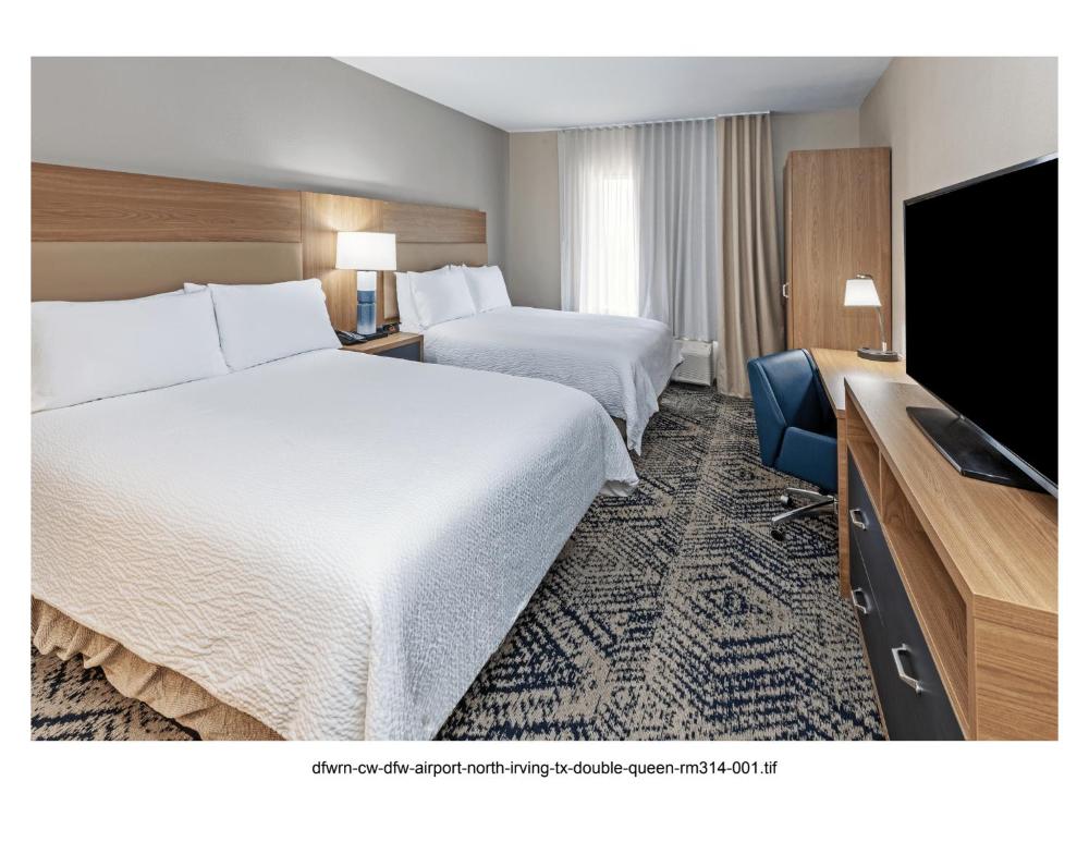 Studio Suite with Two Double Beds interior